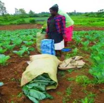 New Apartment Nice View